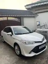 Toyota Axio, 2016-3