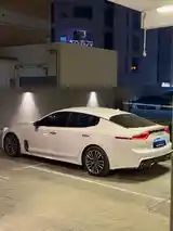 Kia Stinger, 2018-3