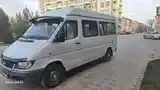 Mercedes-Benz Sprinter, 2005-9