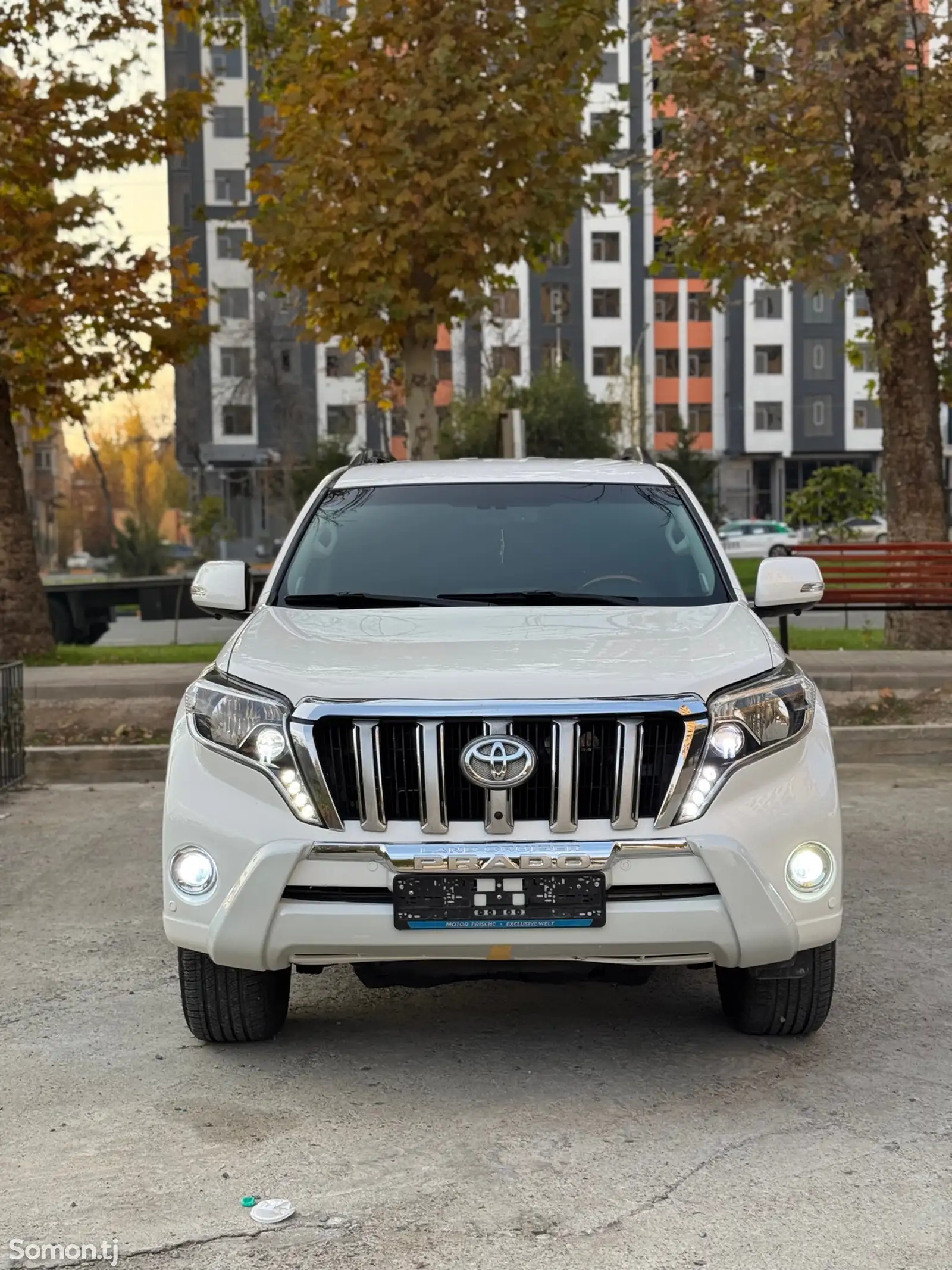 Toyota Land Cruiser Prado, 2011-1