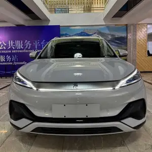 BYD Yuan Plus, 2024