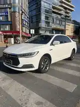 BYD Qin EV, 2023-3