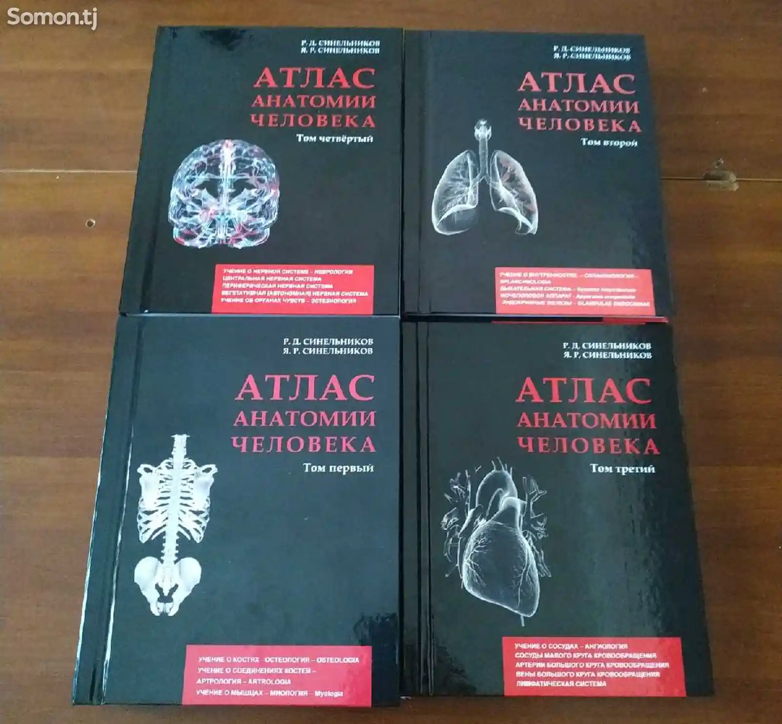 Книга - Анатомия человека-1