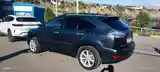 Lexus RX series, 2008-7