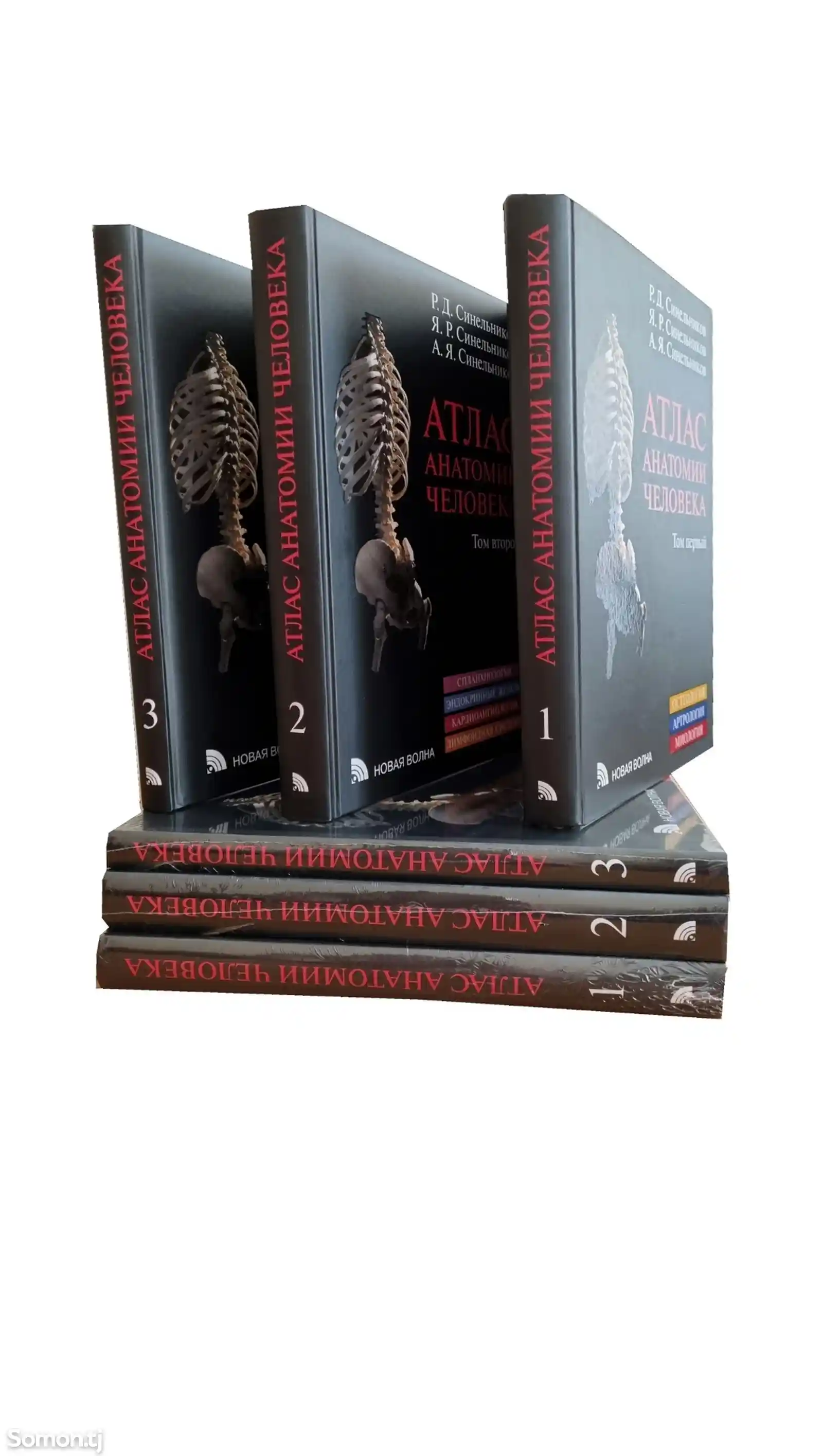 Книга Атлас Анатомии Человека на заказ-2