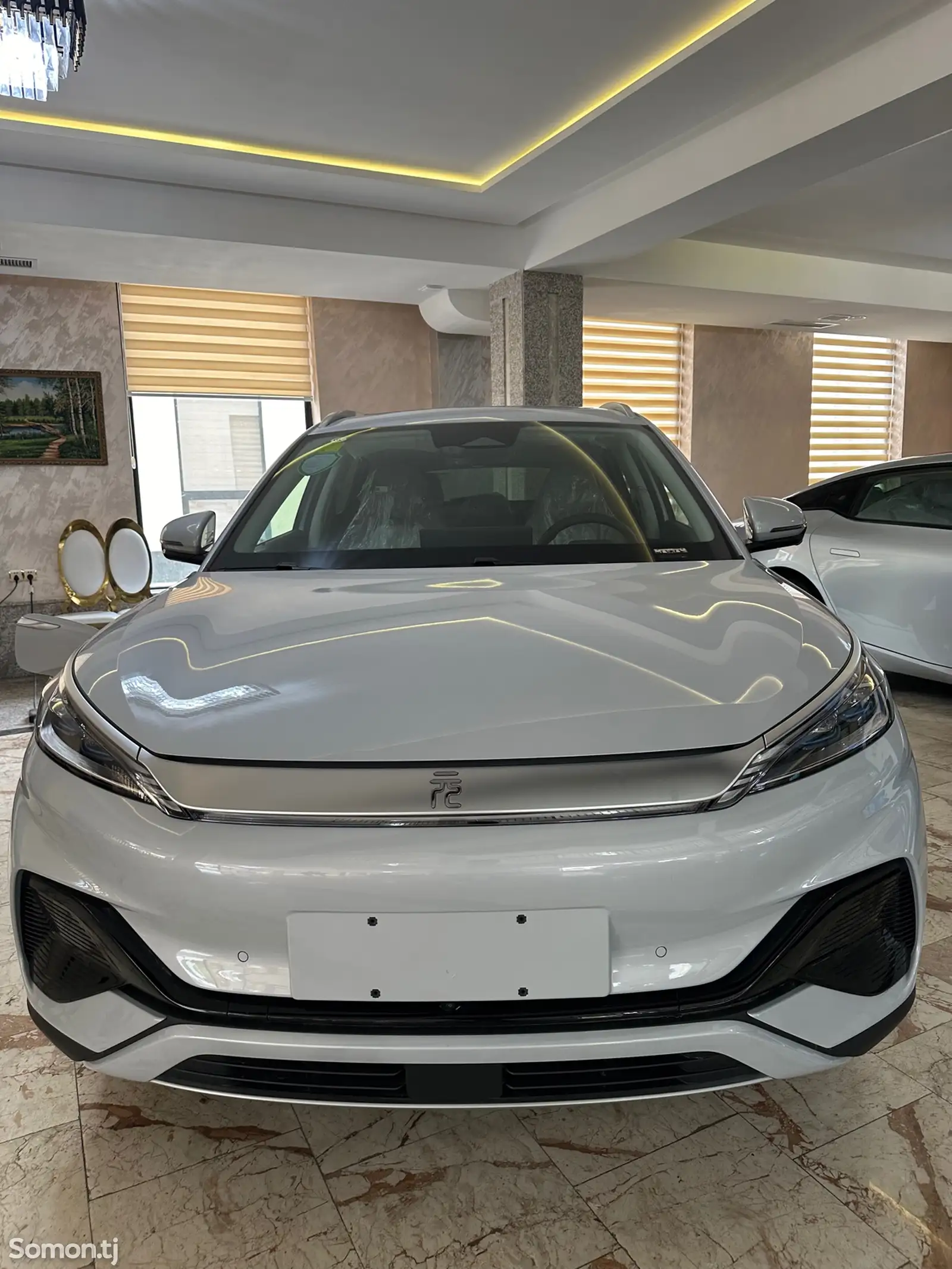 BYD Yuan Plus, 2024-6