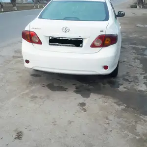 Toyota Corolla, 2010