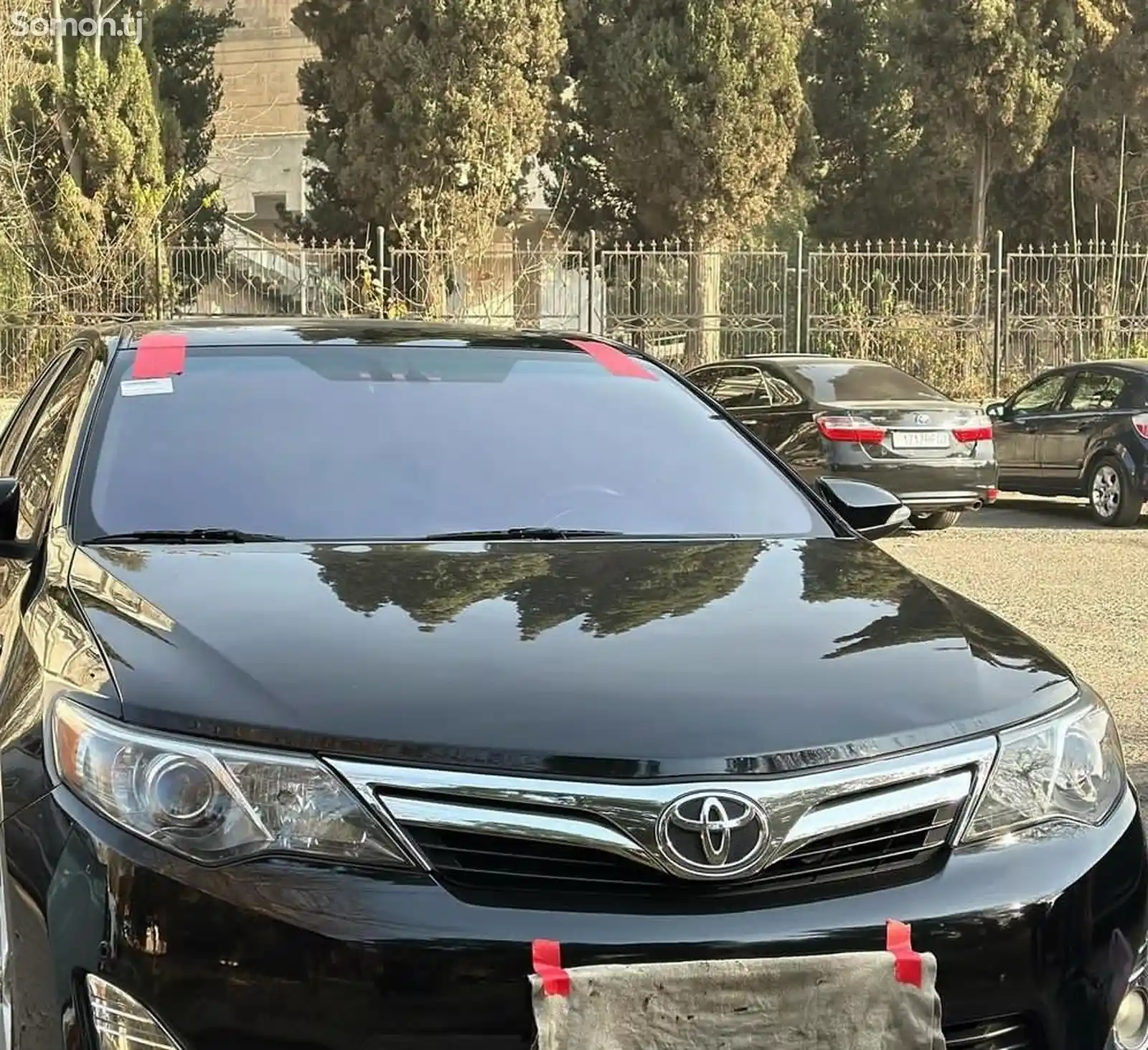 Лобовое стекло фиолетовый на Toyota Camry 3