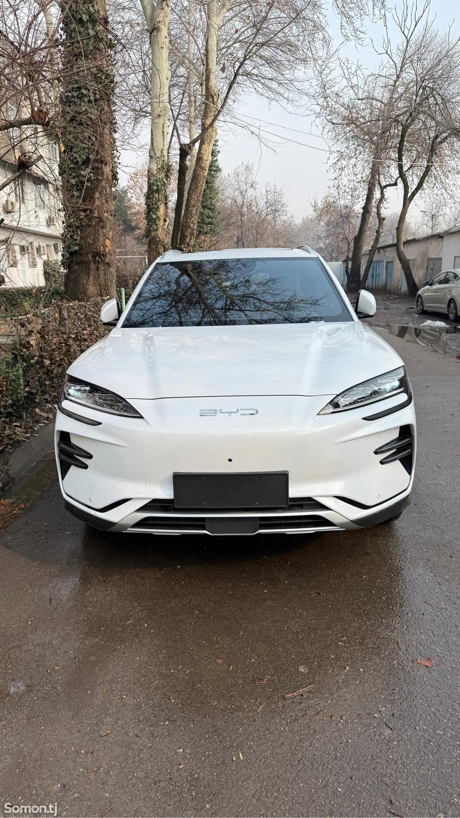 BYD Song Plus, 2024-1