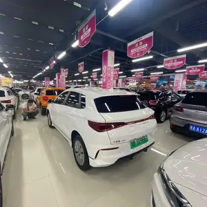 BYD E2, 2020