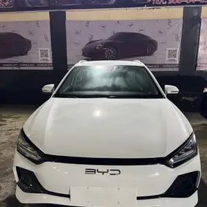 BYD E2, 2024