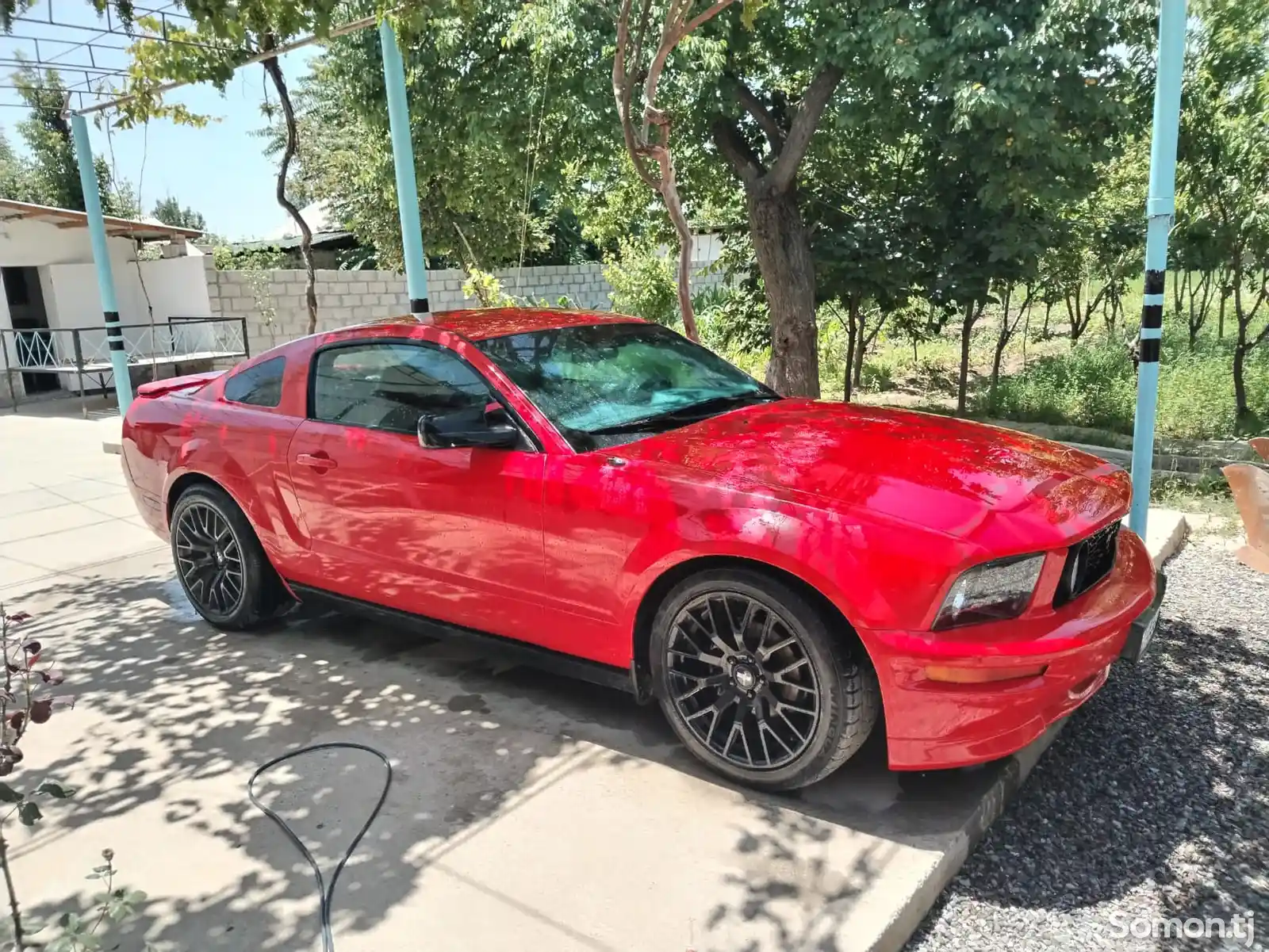 Ford Mustang, 2005-3