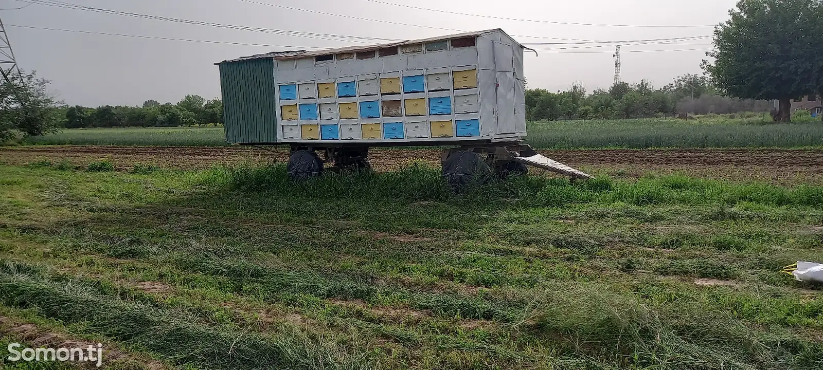 Вагон для пчел