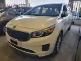 Kia Carnival, 2014-8