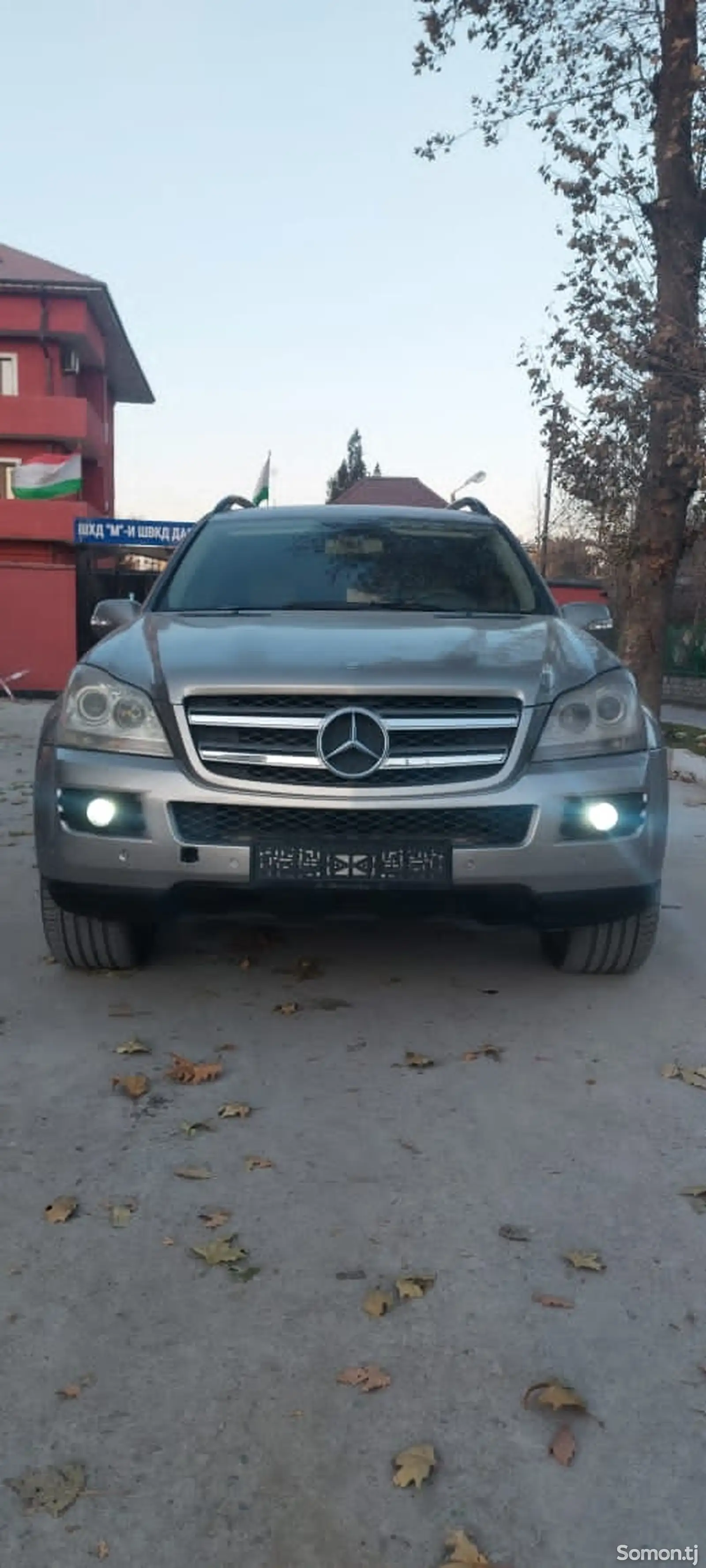 Mercedes-Benz GL class, 2007-1