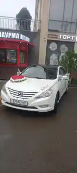 Hyundai Sonata, 2010-4