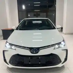 Toyota Corolla, 2024