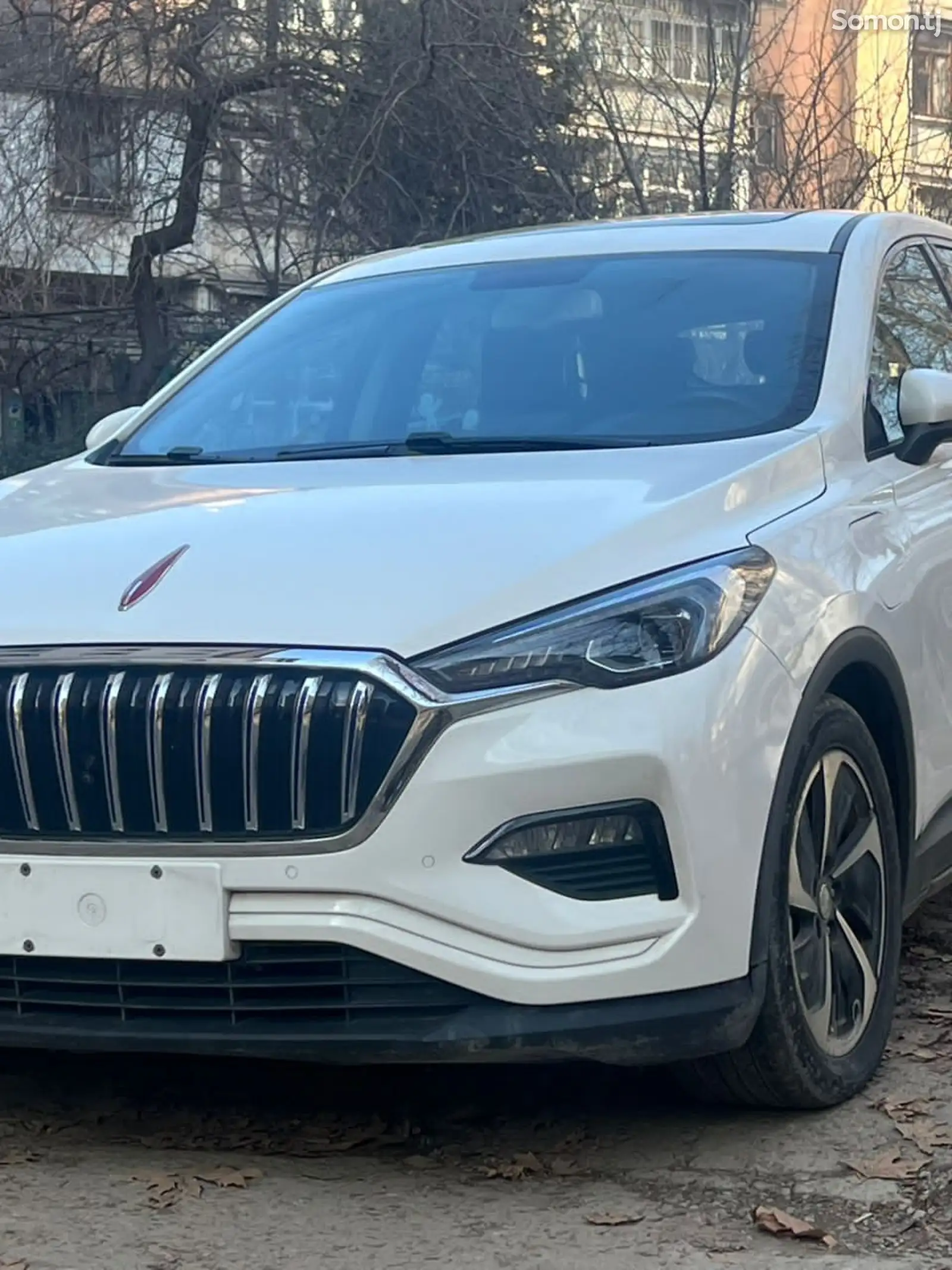 Hongqi E-HS9, 2019-1