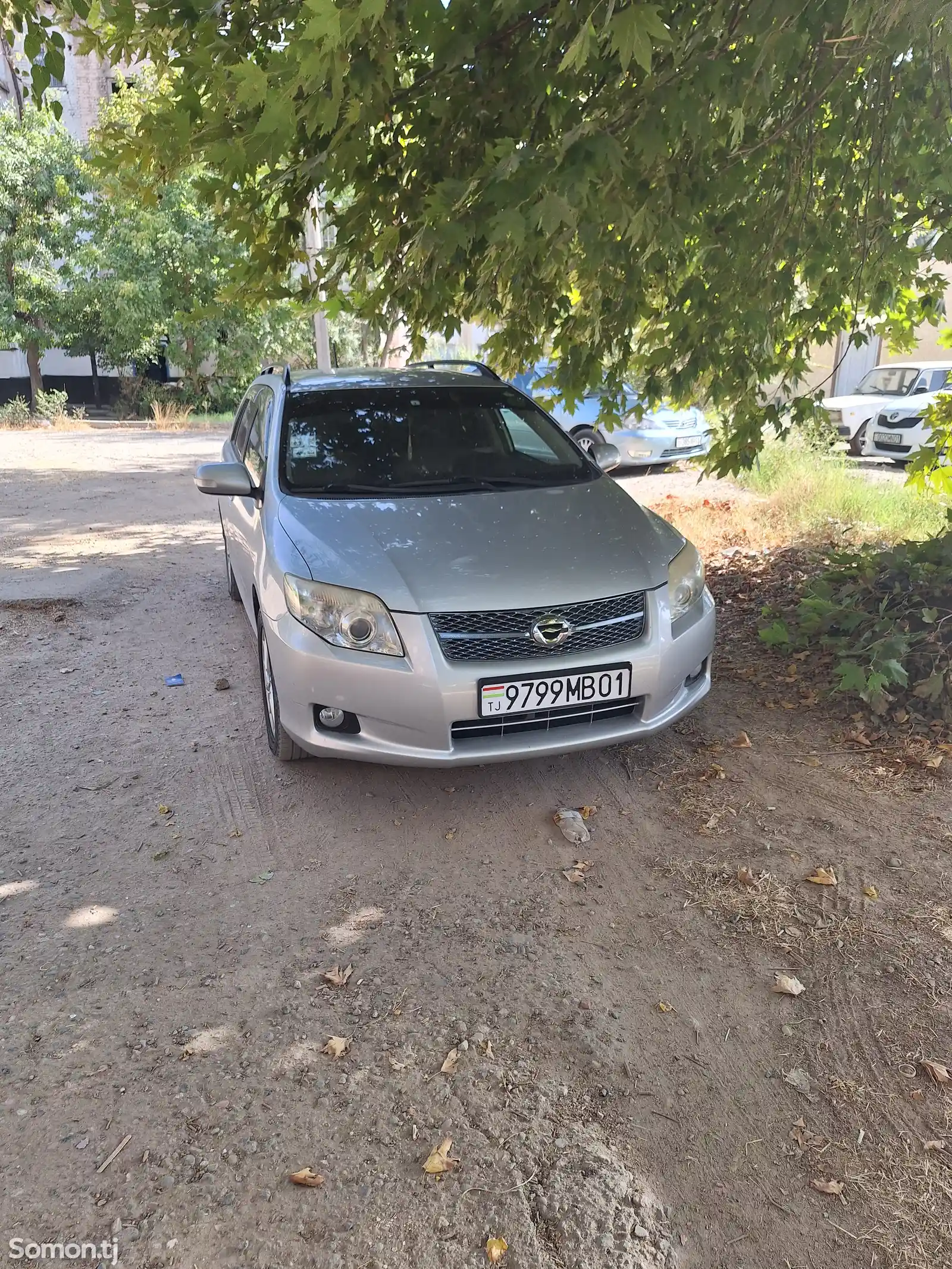 Toyota Fielder, 2007-4