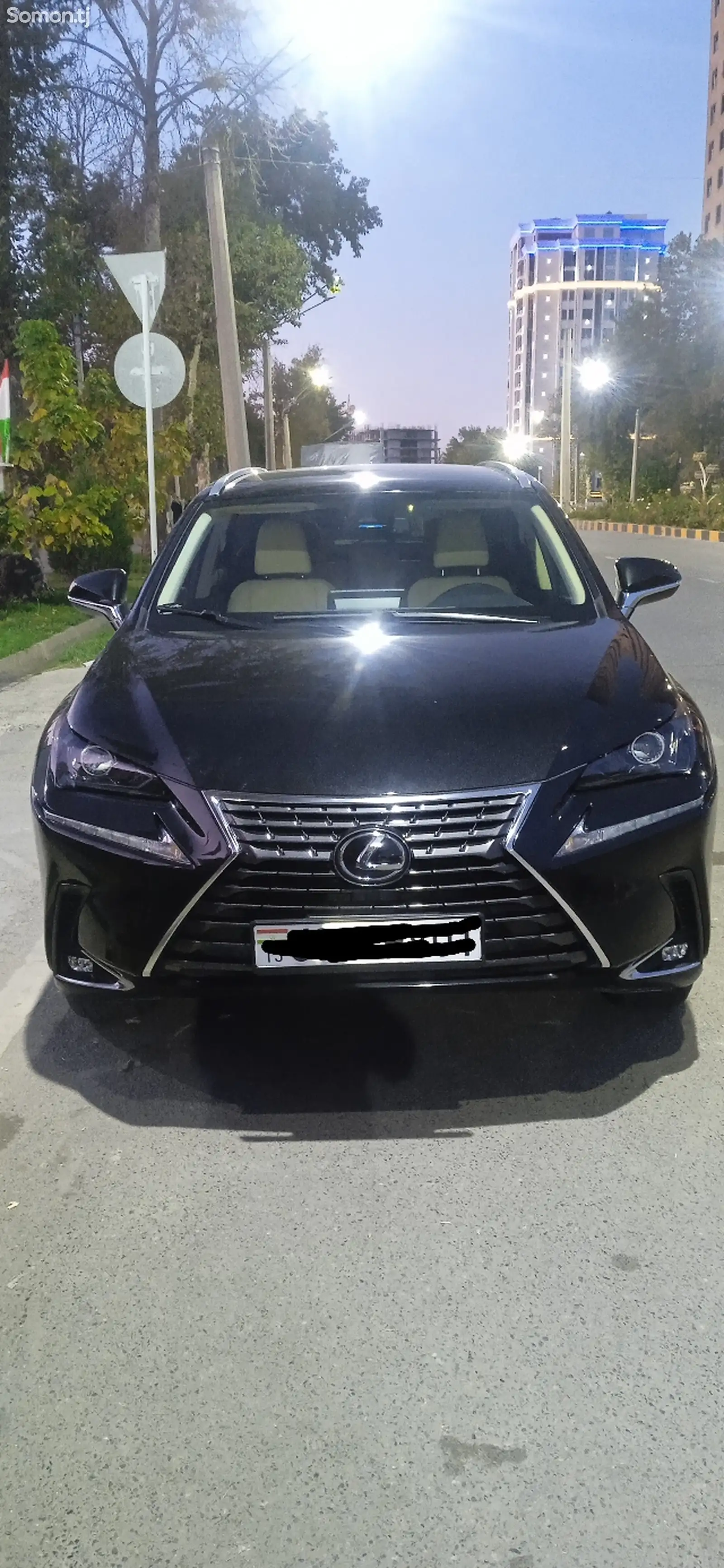 Lexus NX series, 2019-8