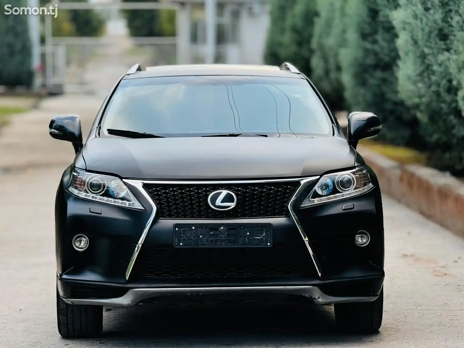 Lexus RX series, 2013-3