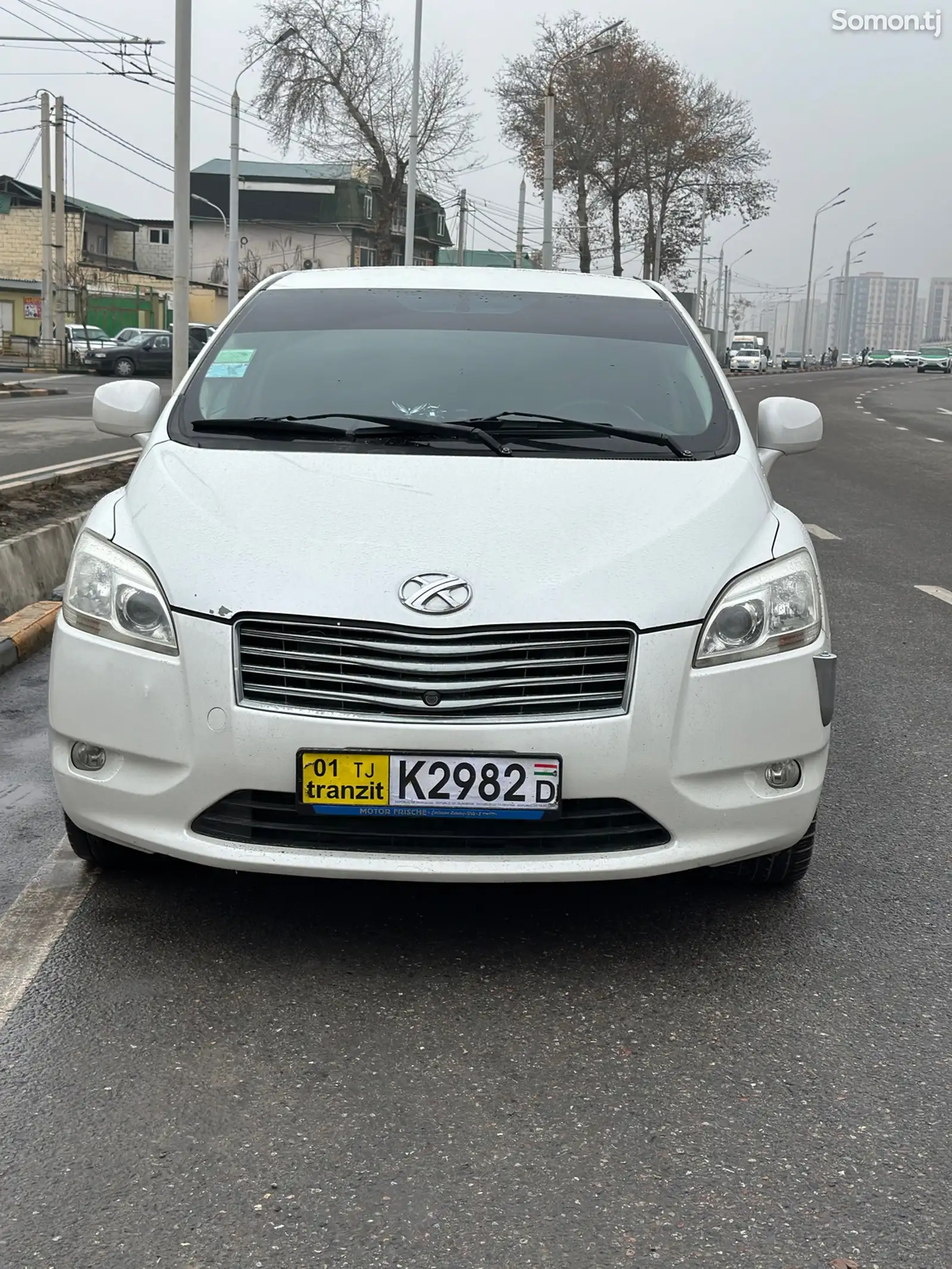 Toyota Mark X ZiO, 2008-1