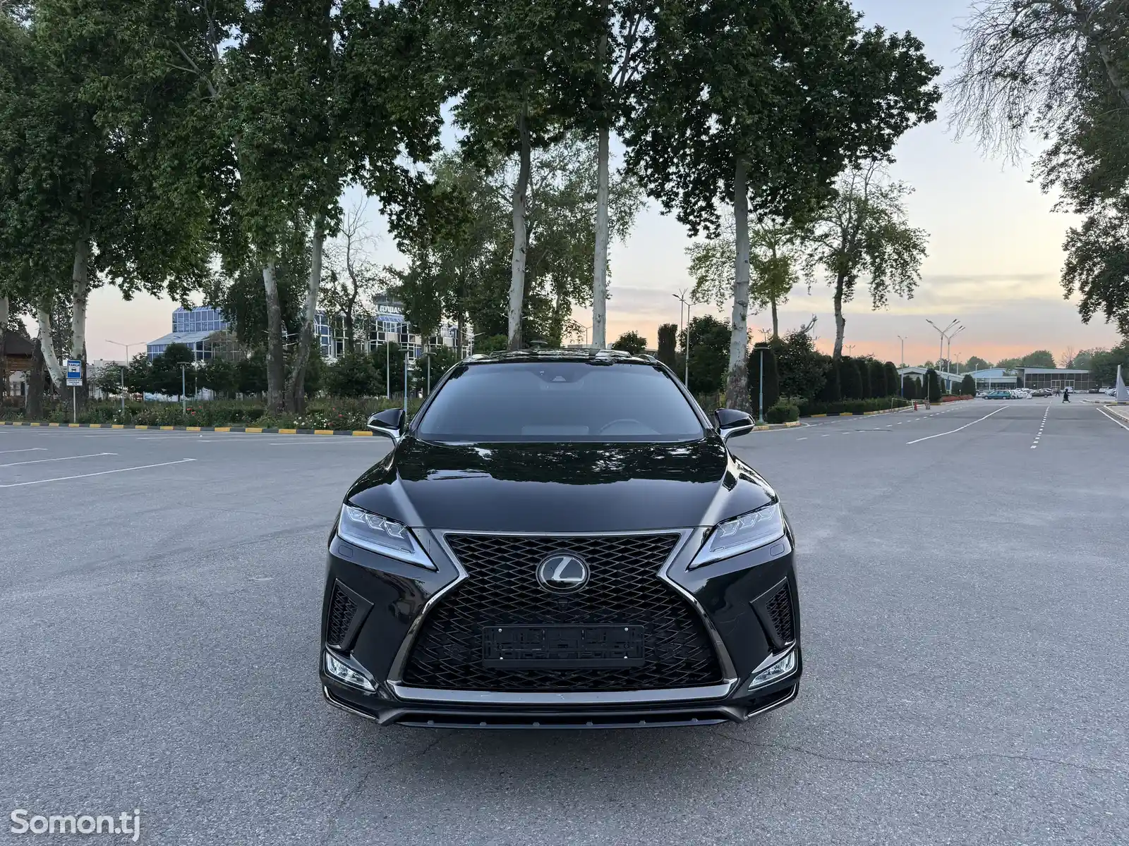Lexus RX series, 2019-3