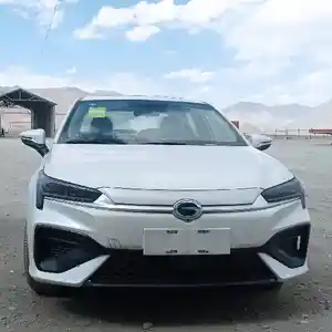 BYD Другие модели, 2024