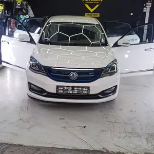 Dongfeng Landian E5, 2020