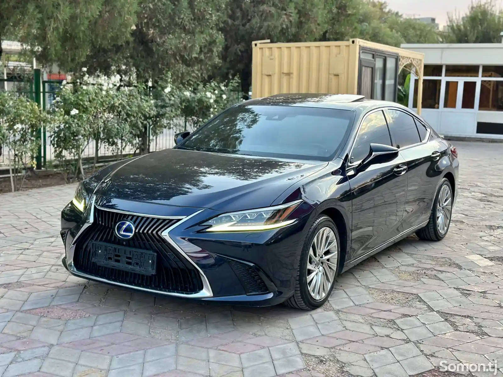 Lexus ES series, 2020-2