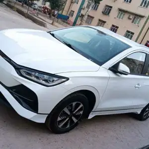 BYD B2, 2024