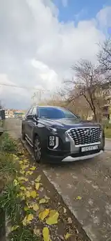 Hyundai Palisade, 2020-2