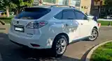 Lexus RX series, 2010-3