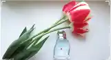 Парфюм Rasasi Instincts EAU de Parfum-3