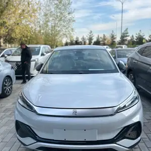 BYD Yuan Plus, 2024