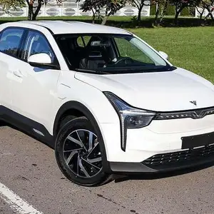 BYD Другие модели, 2022