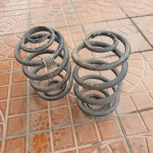 Пружины задние от Coil Spring