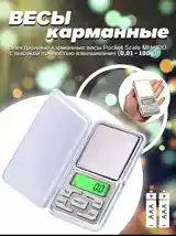 Портативные весы-4