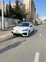 BYD Другие модели, 2024-3