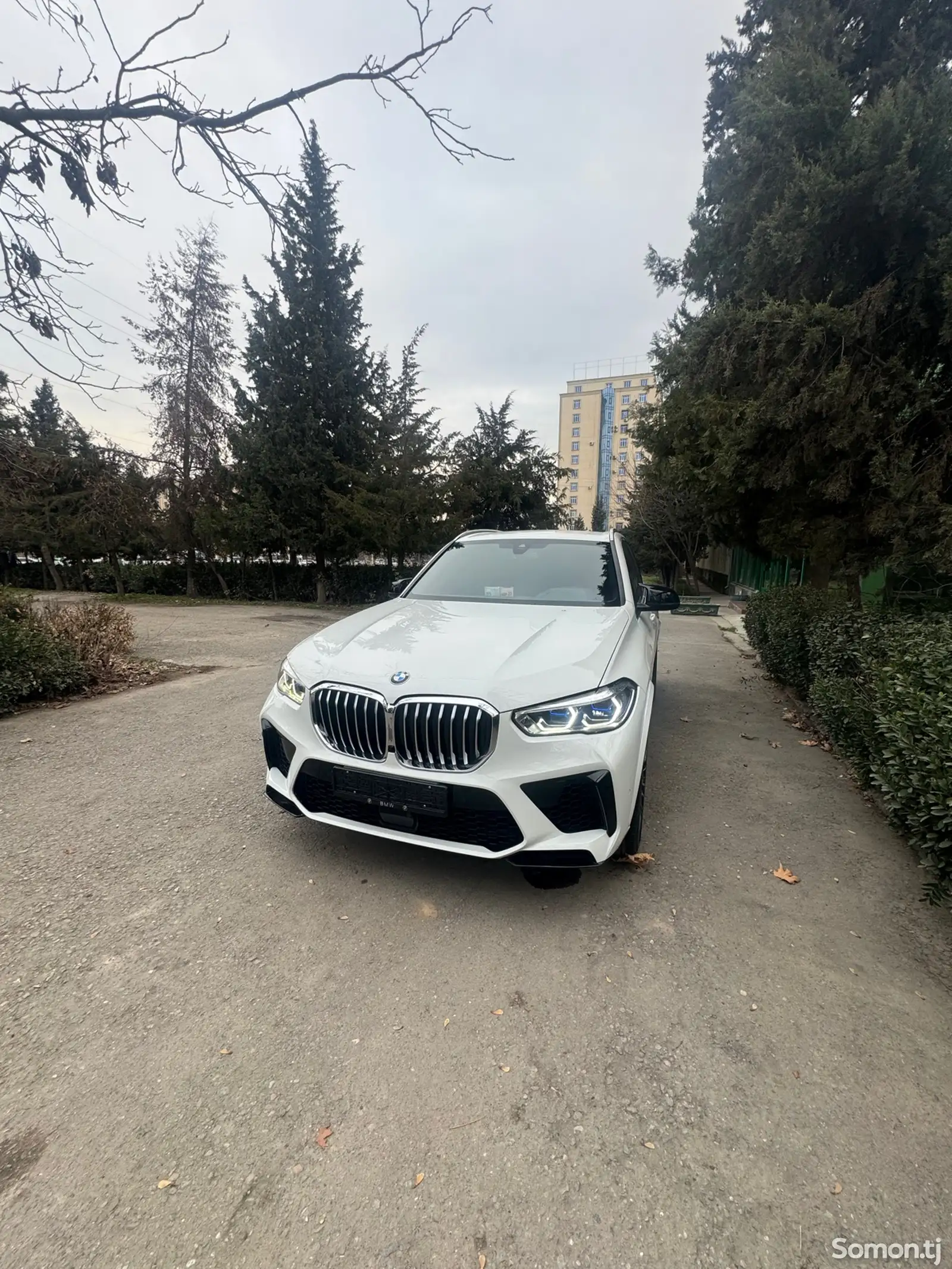 BMW X5, 2022-1