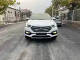 Hyundai Santa Fe, 2017-7