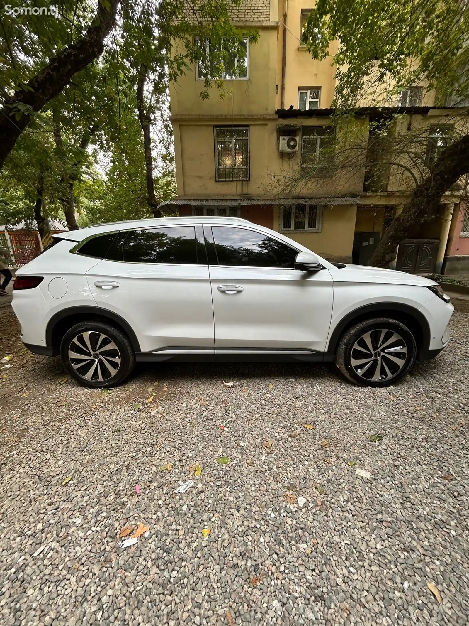 BYD Song Plus Flagship, 2024-1