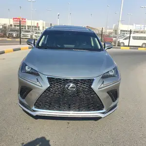 Lexus NX series, 2021