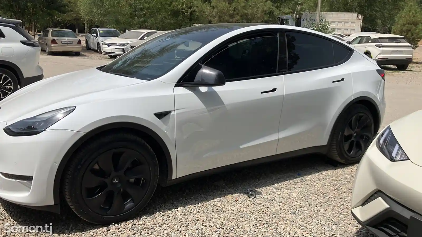 Tesla Model Y, 2021-1