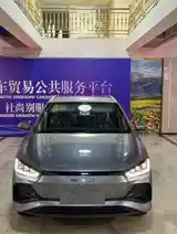 BYD E2, 2024-2