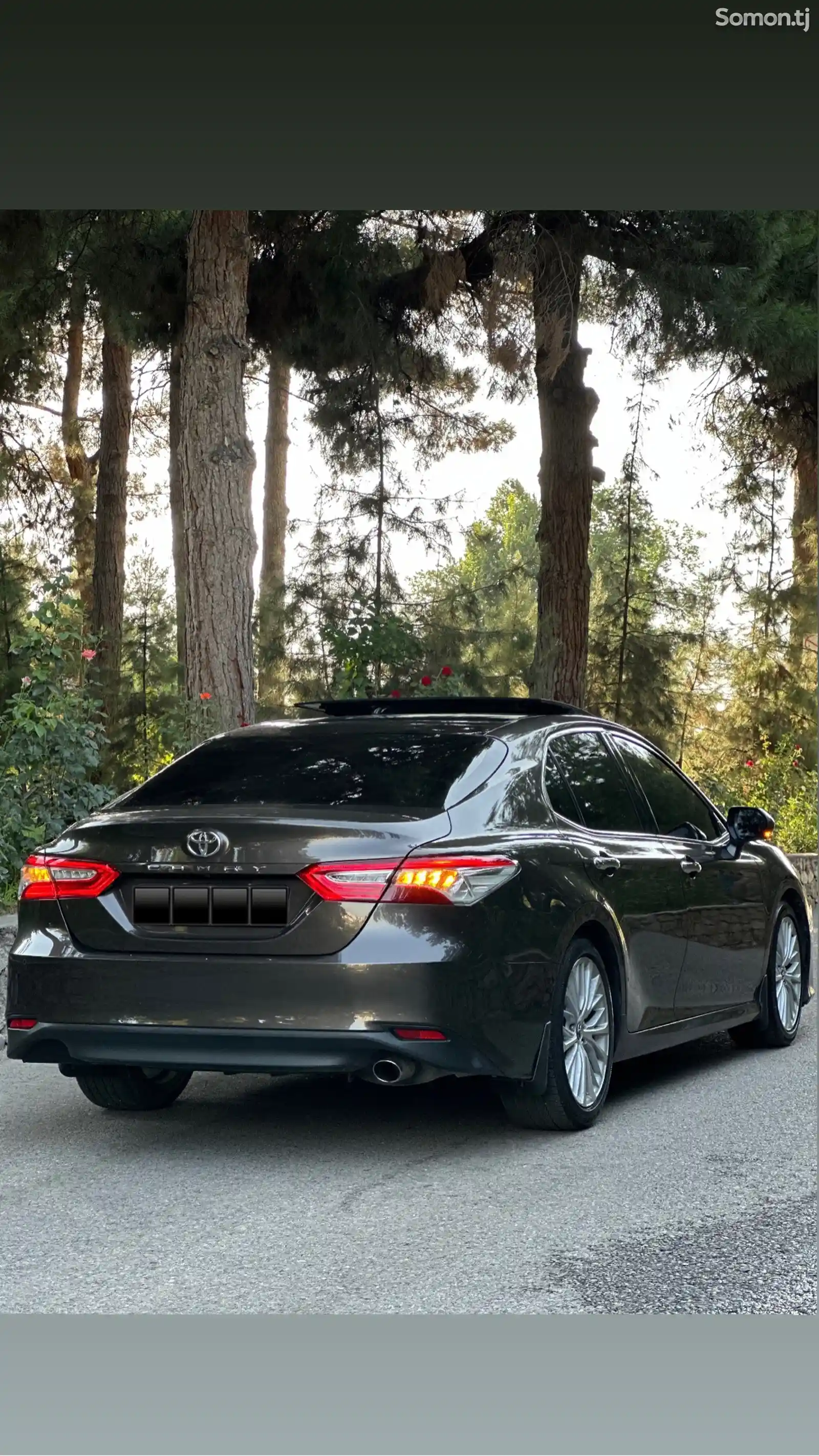 Toyota Camry, 2019-3