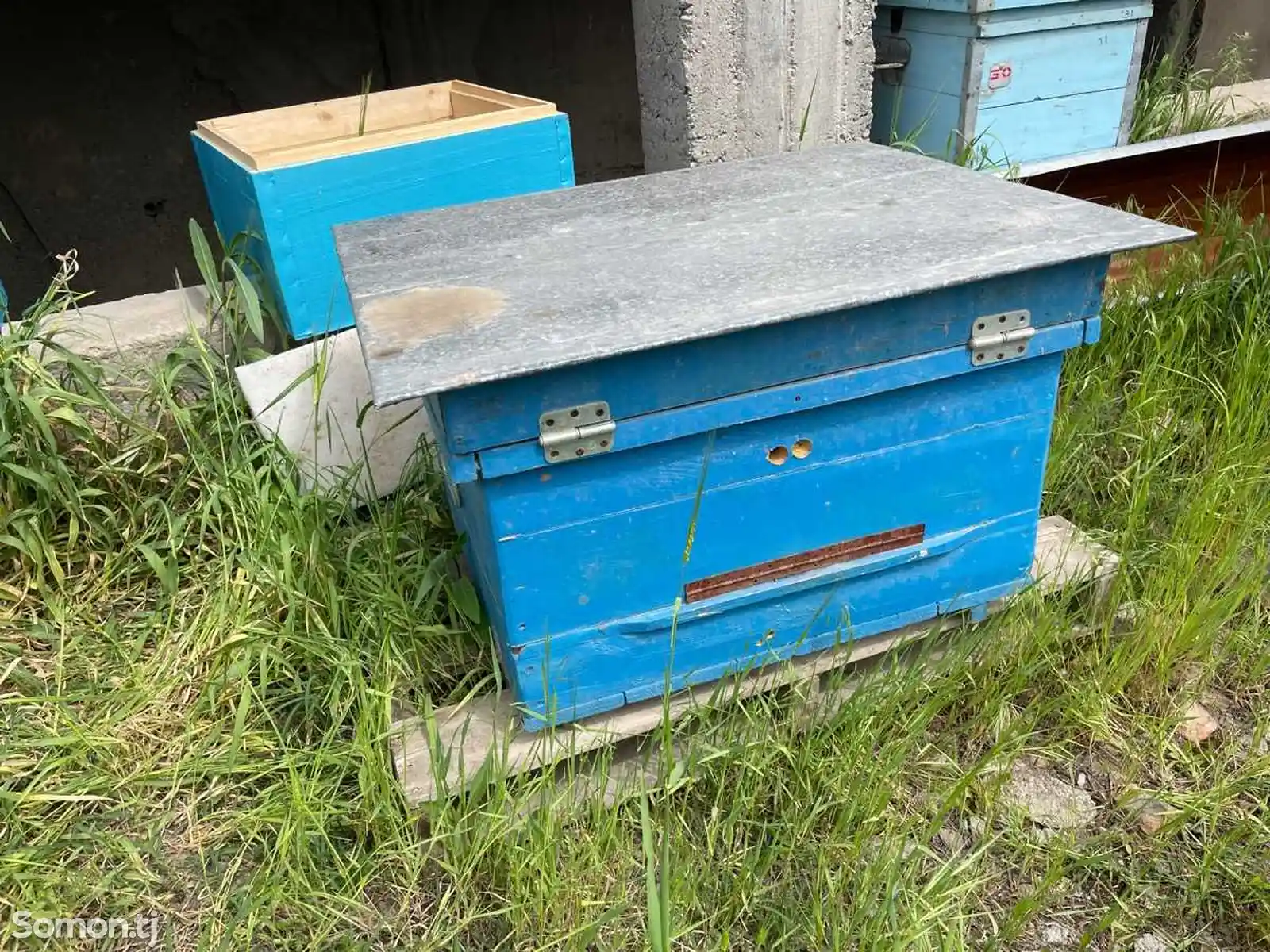 Ящики для пчел-4