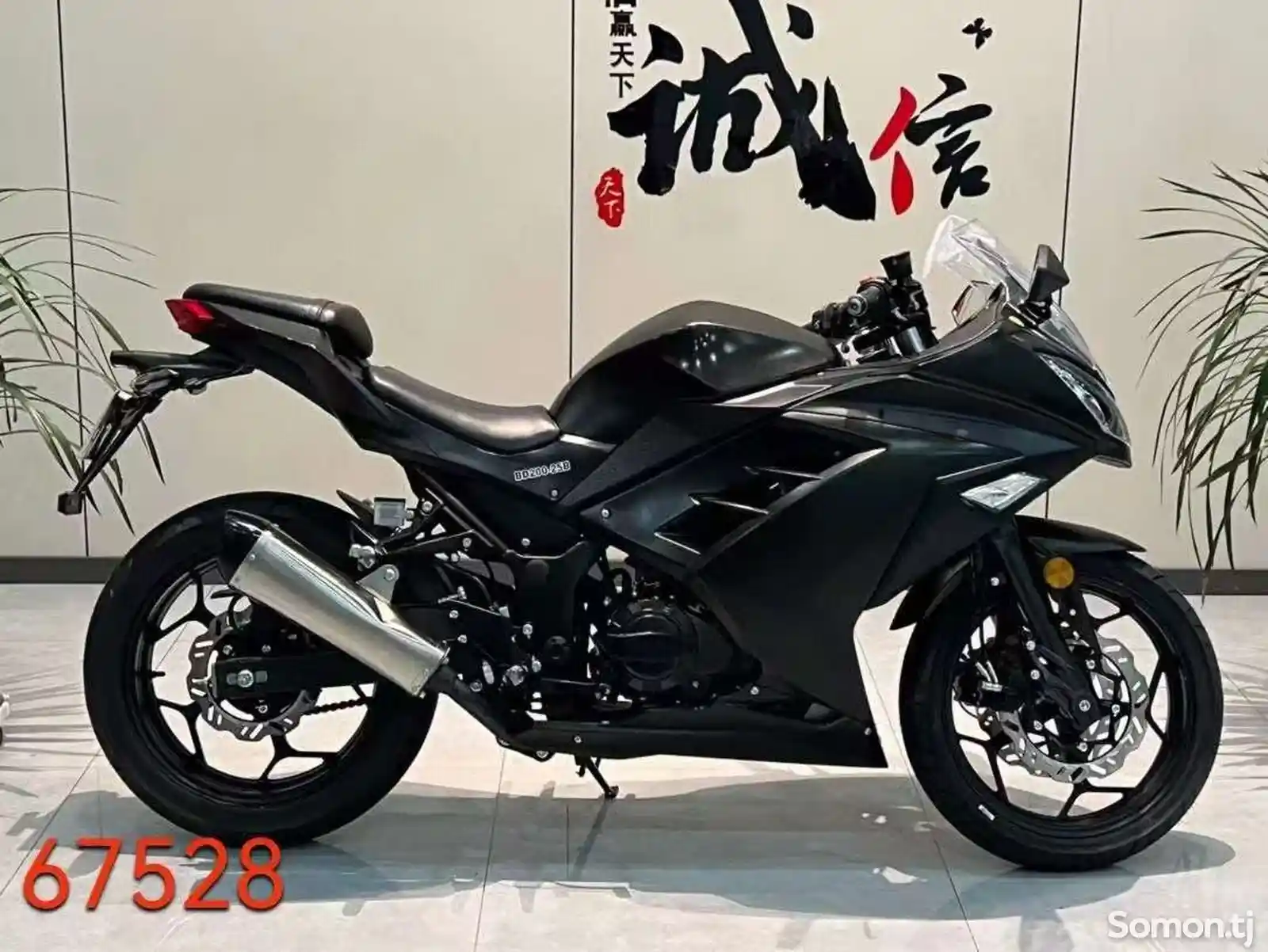 Kawasaki Ninja 200RR на заказ-4