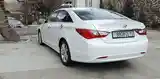 Hyundai Sonata, 2010-3