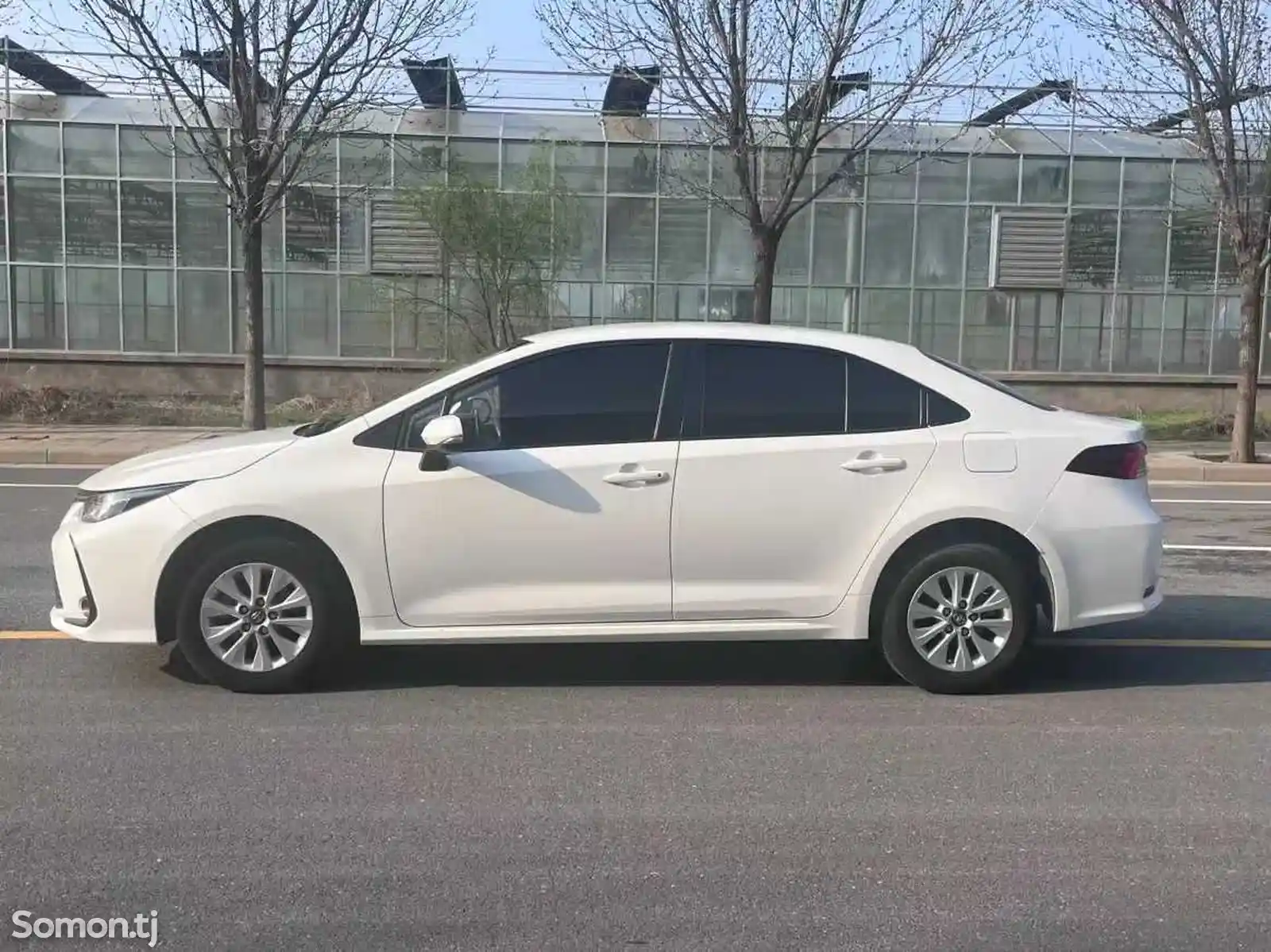 Toyota Corolla, 2021-4